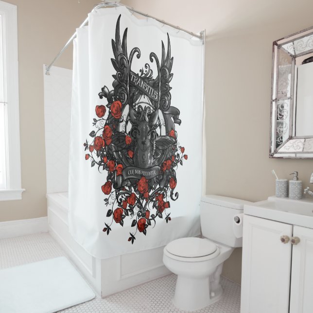 Transitus Curtains (In Situ)