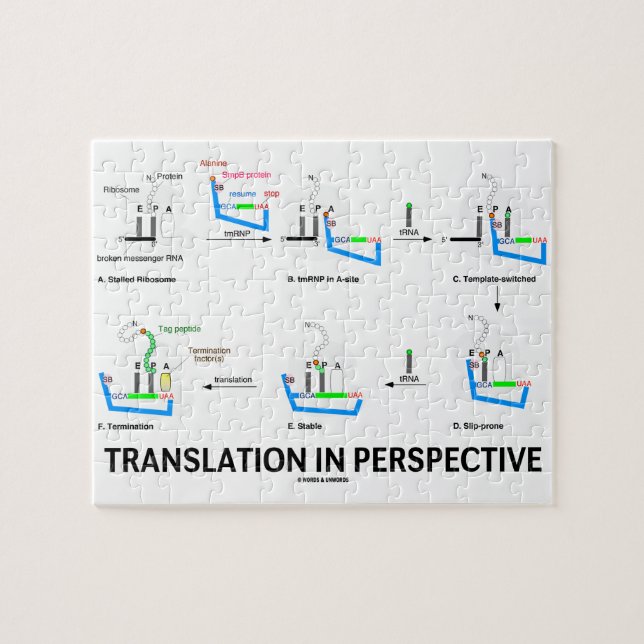 Translation In Perspective (tRNA Biology Protein) Jigsaw Puzzle (Horizontal)