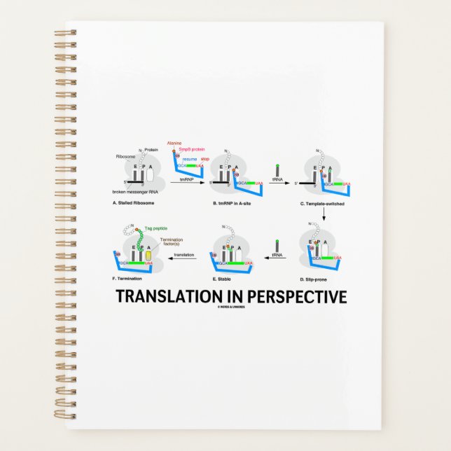 Translation In Perspective tRNA Biology Protein Planner (Front)