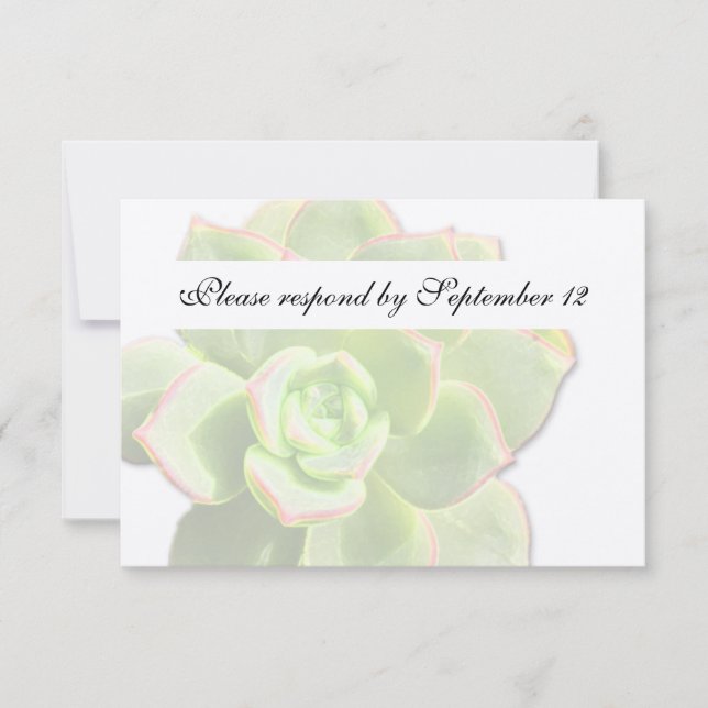 Translucent Green Succulent Vintage rsvp (Front)