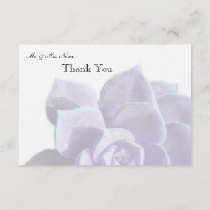 Translucent Lilac Succulent Thank You