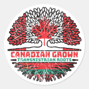 Transnistria Transnistrian Canadian Canada Tree Classic Round Sticker
