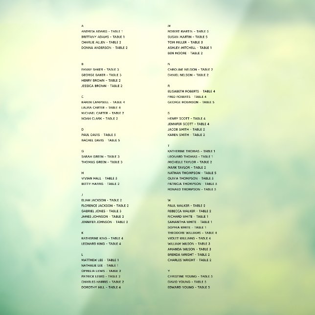 Transparent Alphabetical Seating Chart Just Names  (Sheet 3)