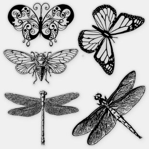 Transparent flying insects stickers