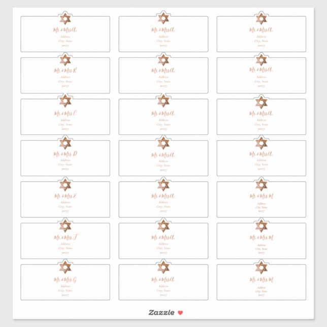 Transparent Guest Address Labels, Faux Copper (Sheet)