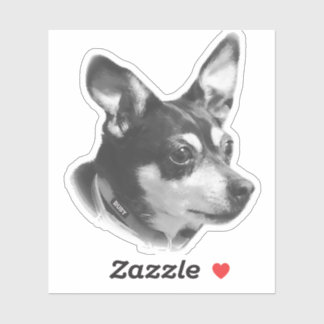 Transparent Ruby Sticker !!