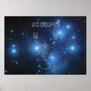 Transparent Scorpio Poster