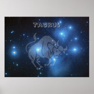 Transparent Taurus Poster