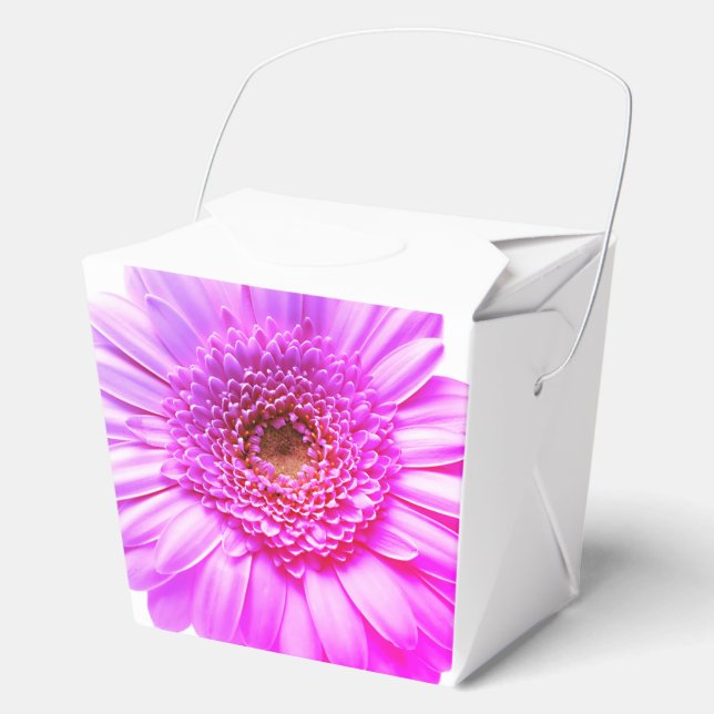 Transvaal daisy graphy Colour Flower Favour Box (Front)
