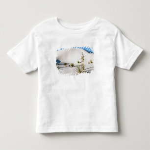Transverse Dunes and Soaptree Yucca 2 Toddler T-Shirt