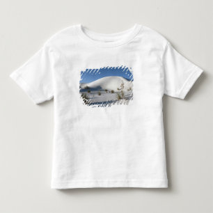 Transverse Dunes and Soaptree Yucca Toddler T-Shirt