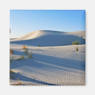Transverse Dunes, Yucca, Early Morning Light Magnet