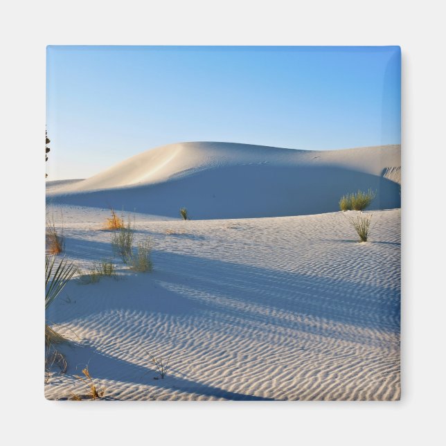 Transverse Dunes, Yucca, Early Morning Light Magnet (Front)