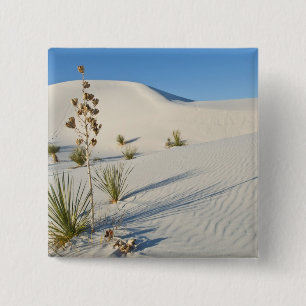Transverse Dunes, Yucca, shadows 15 Cm Square Badge