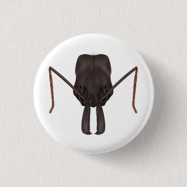 Trap jaw ant button (Front)