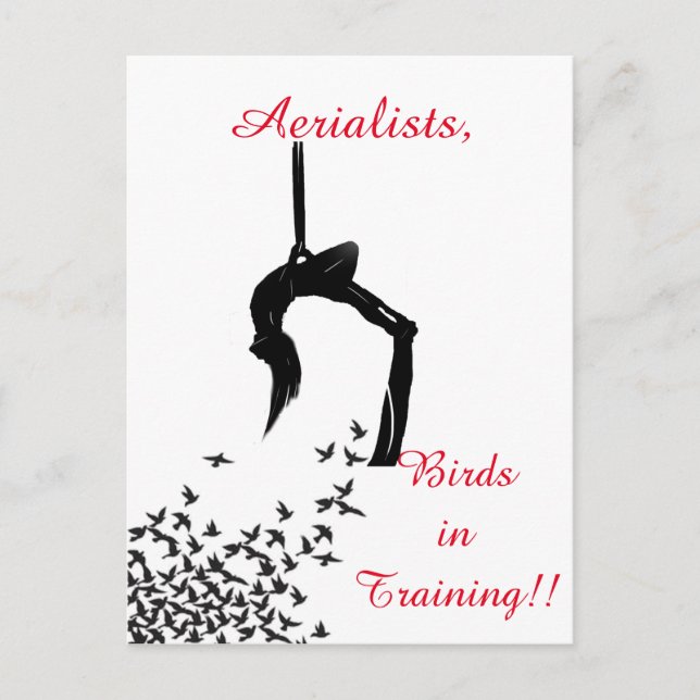 Trapeze Swing Aerialists Postcard (Front)