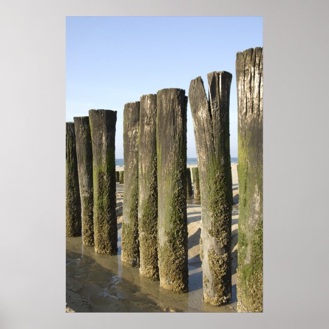 Trapped at the beach poster (Front)