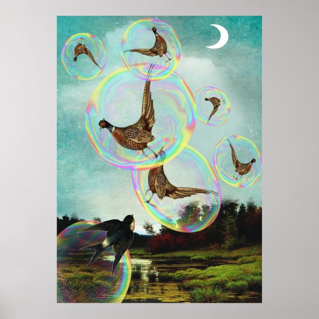 Trapped in bubbles poster (Front)