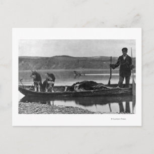 Trapper in Canoe with Hides and Dogs Alaska Postcard