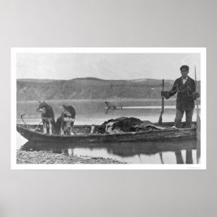 Trapper with Hides & Dogs Alaska 1906 Poster