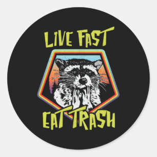 Trash Panda Racoon Animal Classic Round Sticker