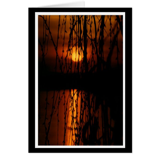 Trauerweide mit Sonnenuntergang 2 Karte (Front)