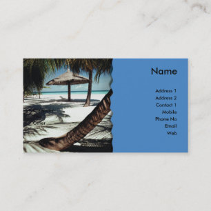 Travel Business Card