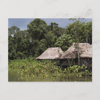 Travel collecting postcard 11