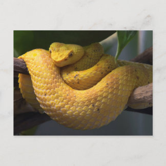 Travel collecting postcard 2