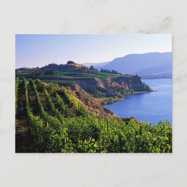 Travel collecting postcard 26 (Front)