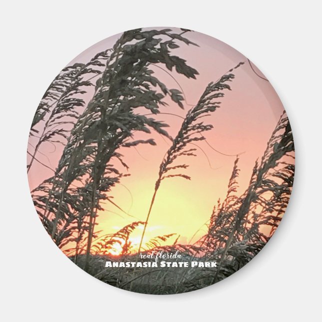 Travel | Florida -- Anastasia Sea Oats Magnet (Front)