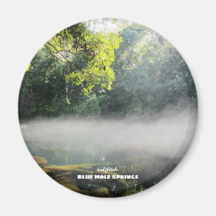 Travel   Florida - Blue Hole Springs Foggy Morning Magnet