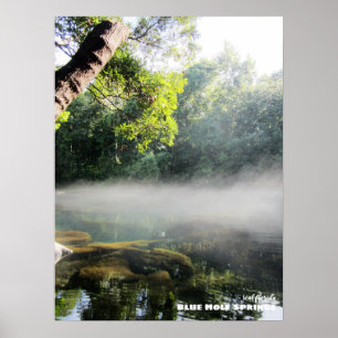 Travel Florida - Blue Hole Springs Foggy Morning Poster