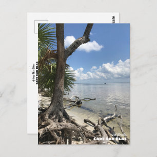 Travel   Florida - Cape San Blas Beach Postcard