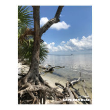 Travel | Florida - Cape San Blas Beach