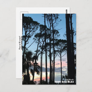 Travel Florida - Cape San Blas Pines Sunset Postcard