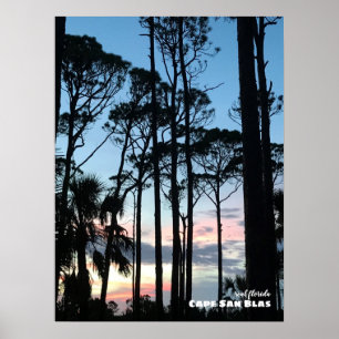 Travel   Florida - Cape San Blas Sunset Pines Poster