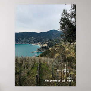 Travel   Italy - Monterosso Winter Vineyard Poster