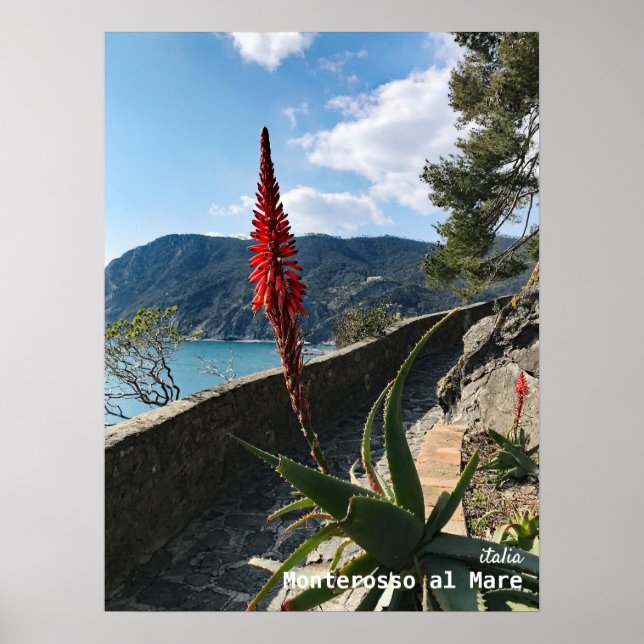 Travel | Italy Poster (Front)