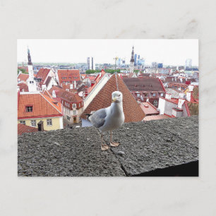 Travel photo. Estonia, Tallinn Postcard