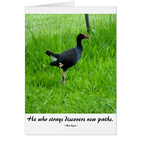 Travel Quote by Nils Kjær Card