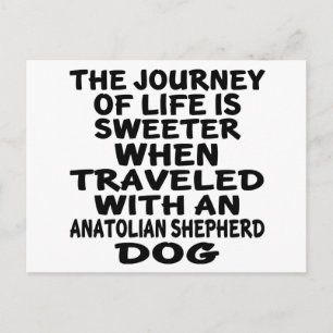 Travelled With A Anatolian Shepherda dog Life Part Postcard