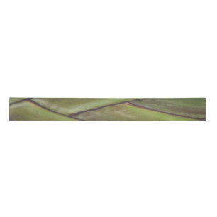 Traveller Palm Ribbon Satin Ribbon