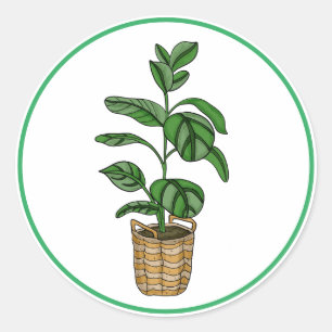 Traveller's Palm Hand Drawn Houseplant Art    Classic Round Sticker