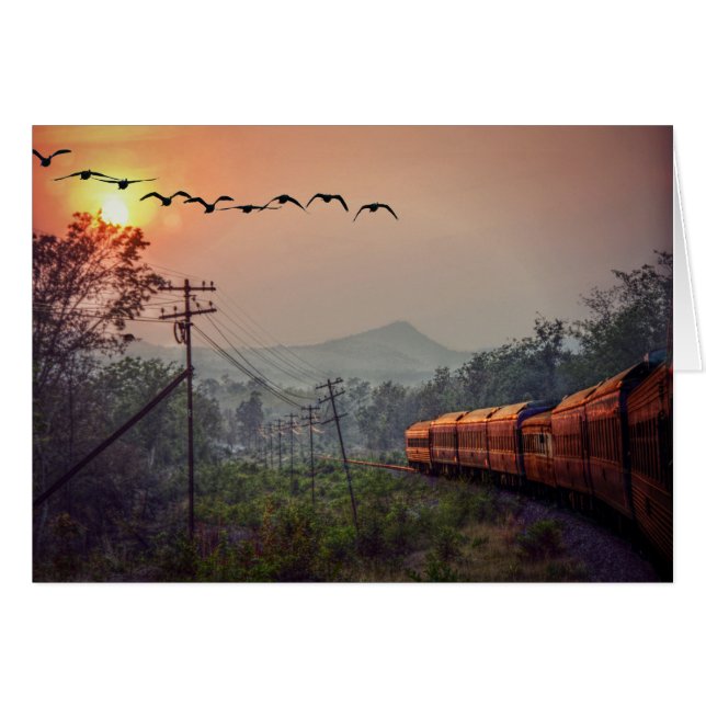 Travelling (Front Horizontal)