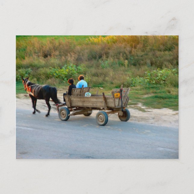 Travelling by horse and cart, Romania Postcard (Front)