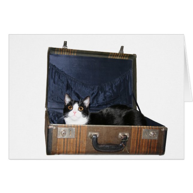 Travelling cat card (Front Horizontal)