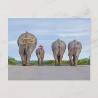 Travelling Elephants Postcard