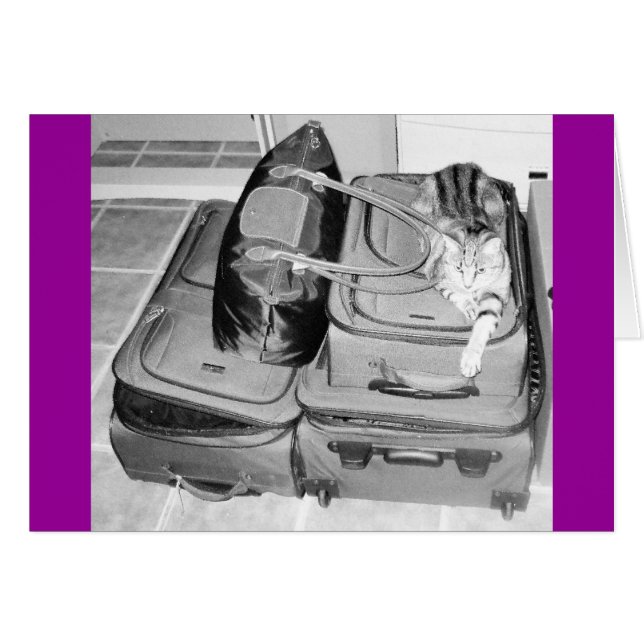 Travelling Indigo Pencil (Front Horizontal)