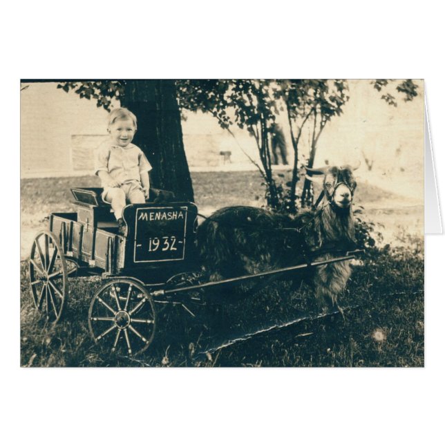 Travelling Wagon (Front Horizontal)